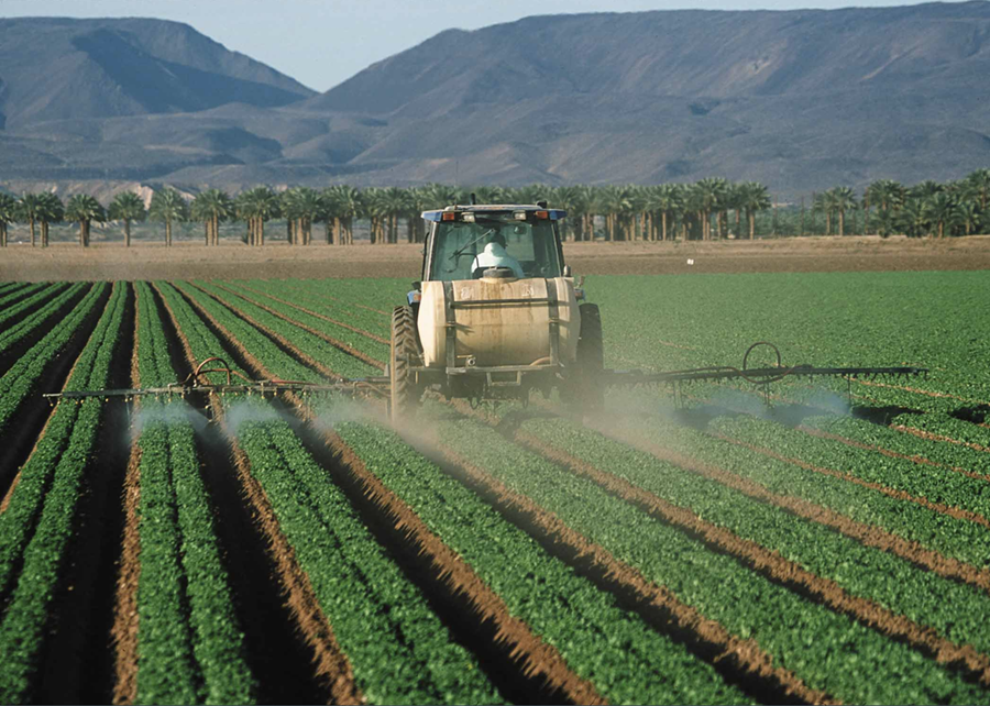 Framkvæmdastjórn Evrópusambandsins hætti á dögunum við áætlanir um að draga úr notkun skordýraeiturs. Ursula von der Leyen segir það verða verkefni næstu framkvæmdastjórnar ESB að koma regluverki um samdrátt í notkun varnarefna í gegn.