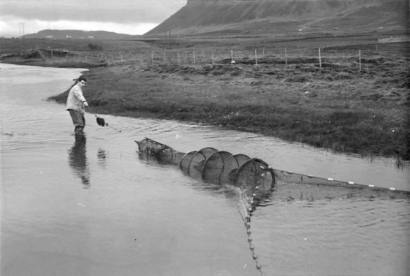 Álagildra í Úlfarsá