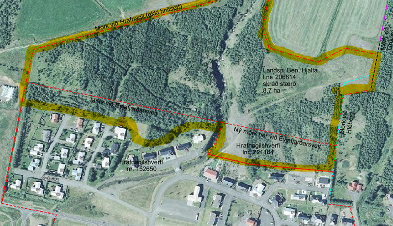 Fjölmargar hugmyndir um nýtingu skóglendis