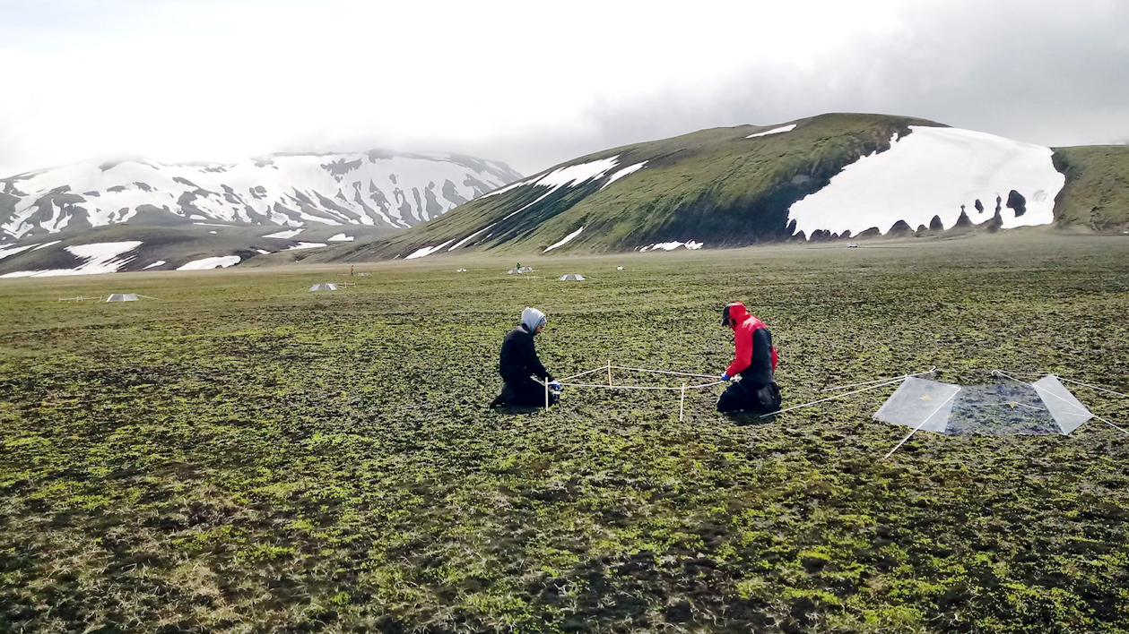 Ný búveðurstöð og gasgreinir