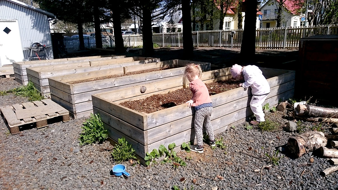 Íslenskt grænmeti – við vitum hvaðan það kemur