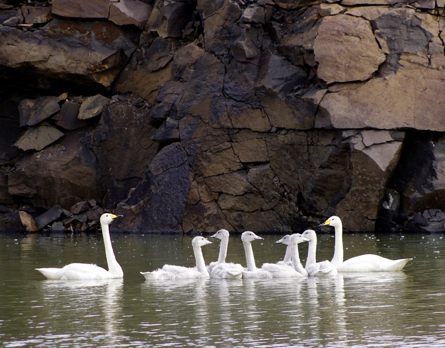 Enginn veit hvað framtíðin ber í skauti sér en það er samt næsta víst að við munum njóta áfram fegurðar náttúrunnar.