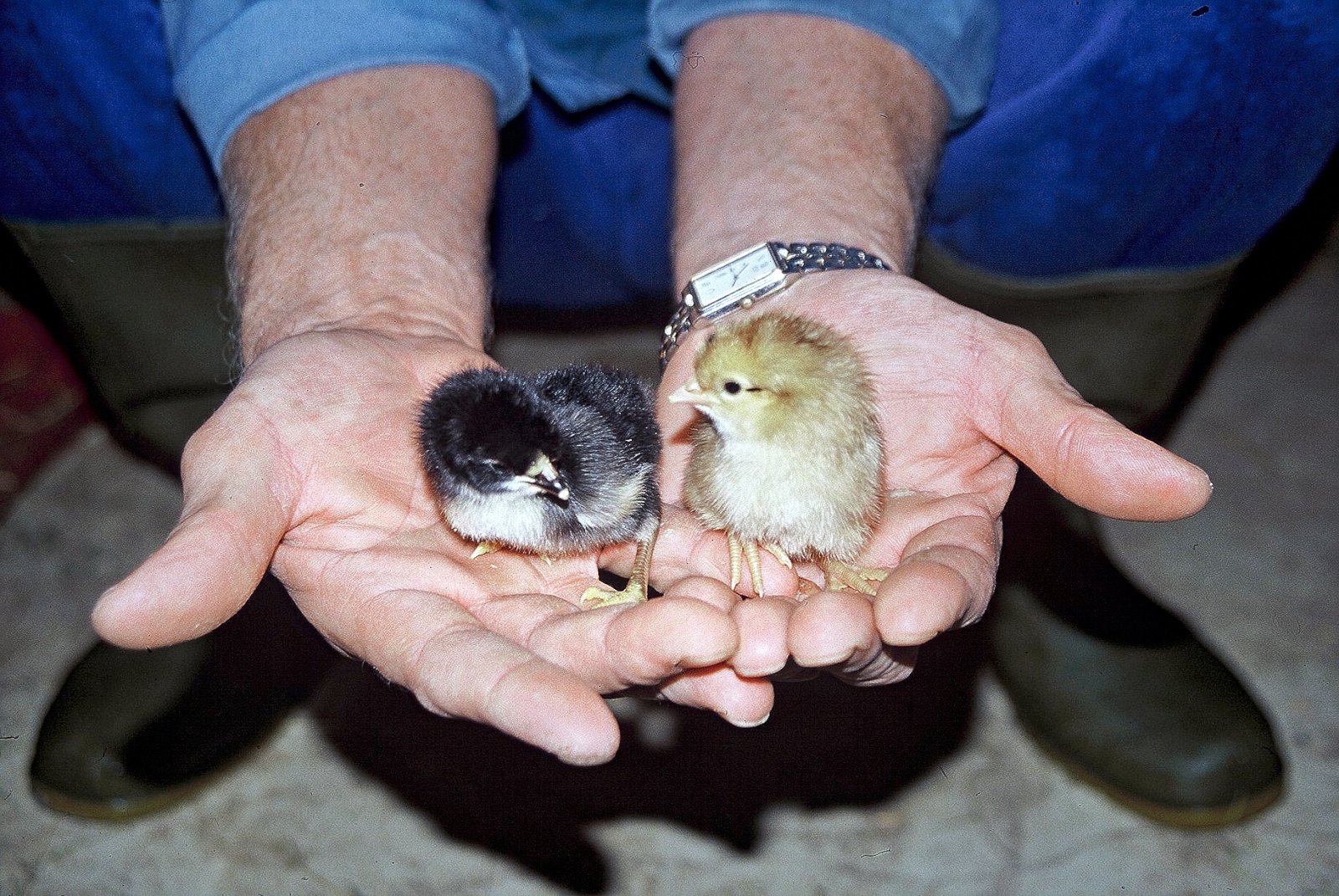 Alvarlegir atburðir