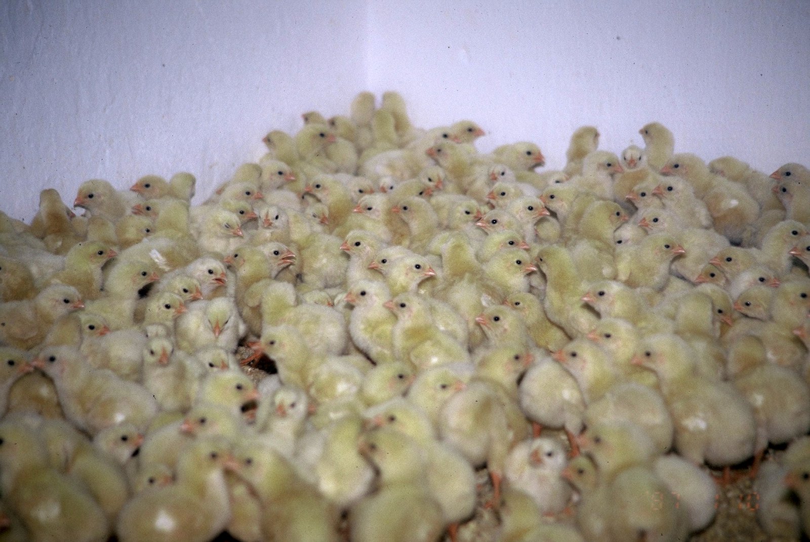 Undanþágur veittar en mikilvægt að leysa kjaradeilu ríkis og BHM