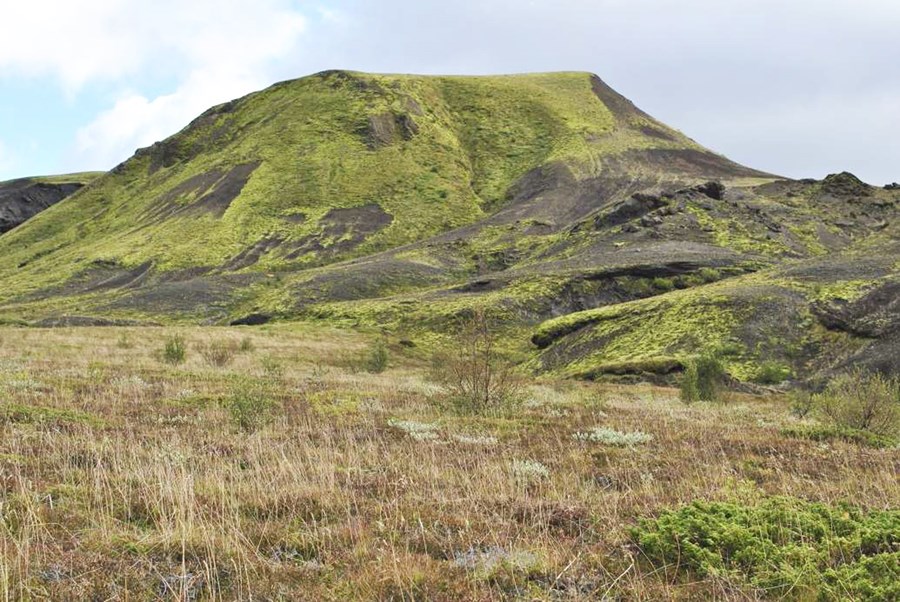 Rúmum 70 milljónum króna úthlutað til verkefna á landsbyggðinni