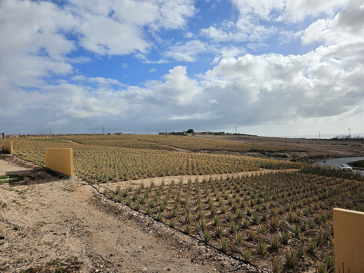 Heimsframleiðslan 37 milljarða virði