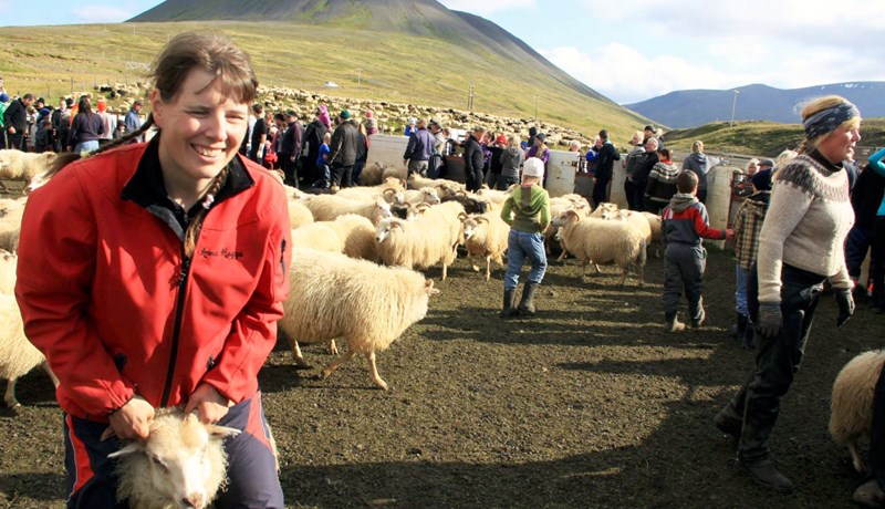 Áhugi á heimavinnslu matvæla í Austur-Húnavatnssýslu