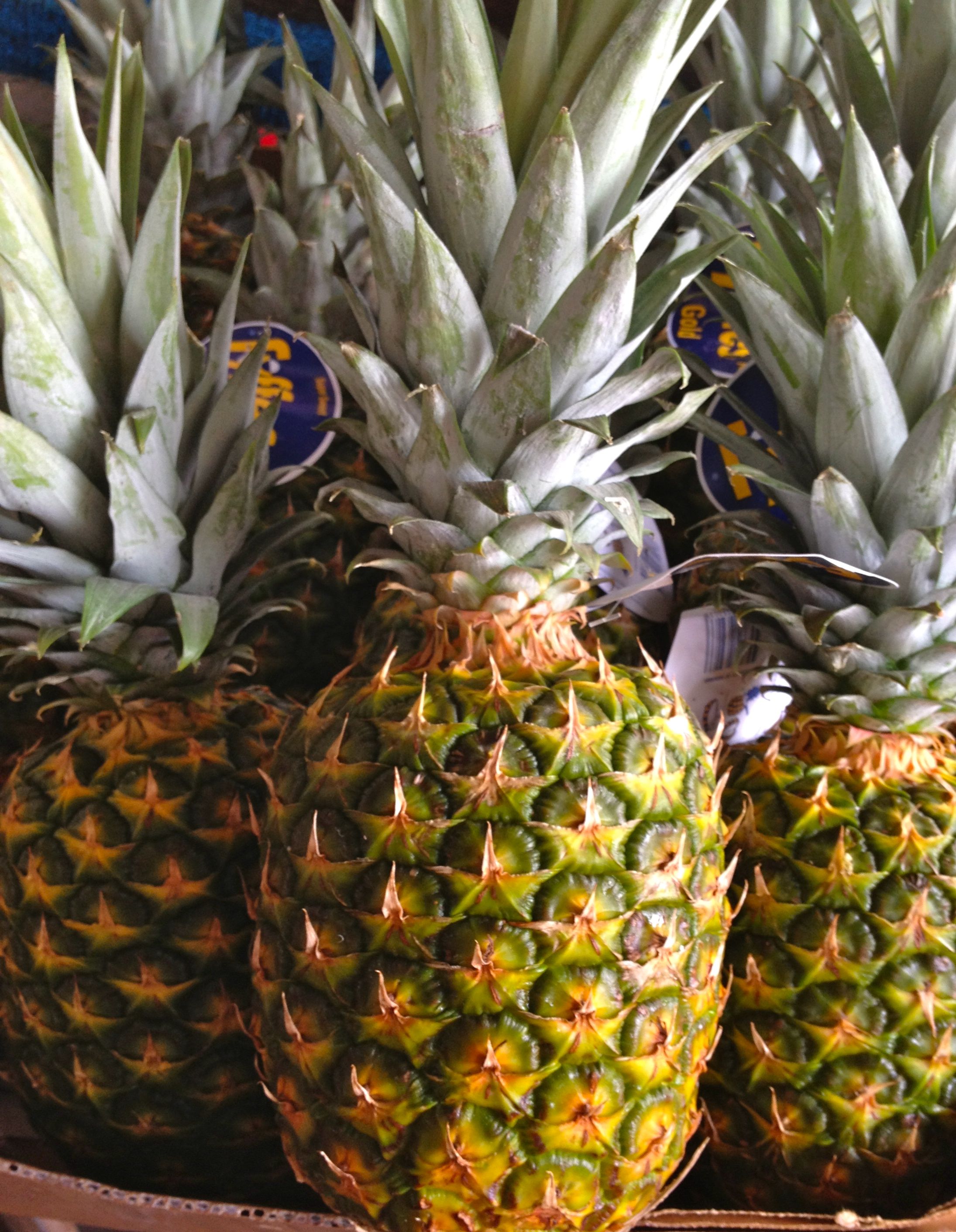 Ananas – ágæti úr öðrum heimi