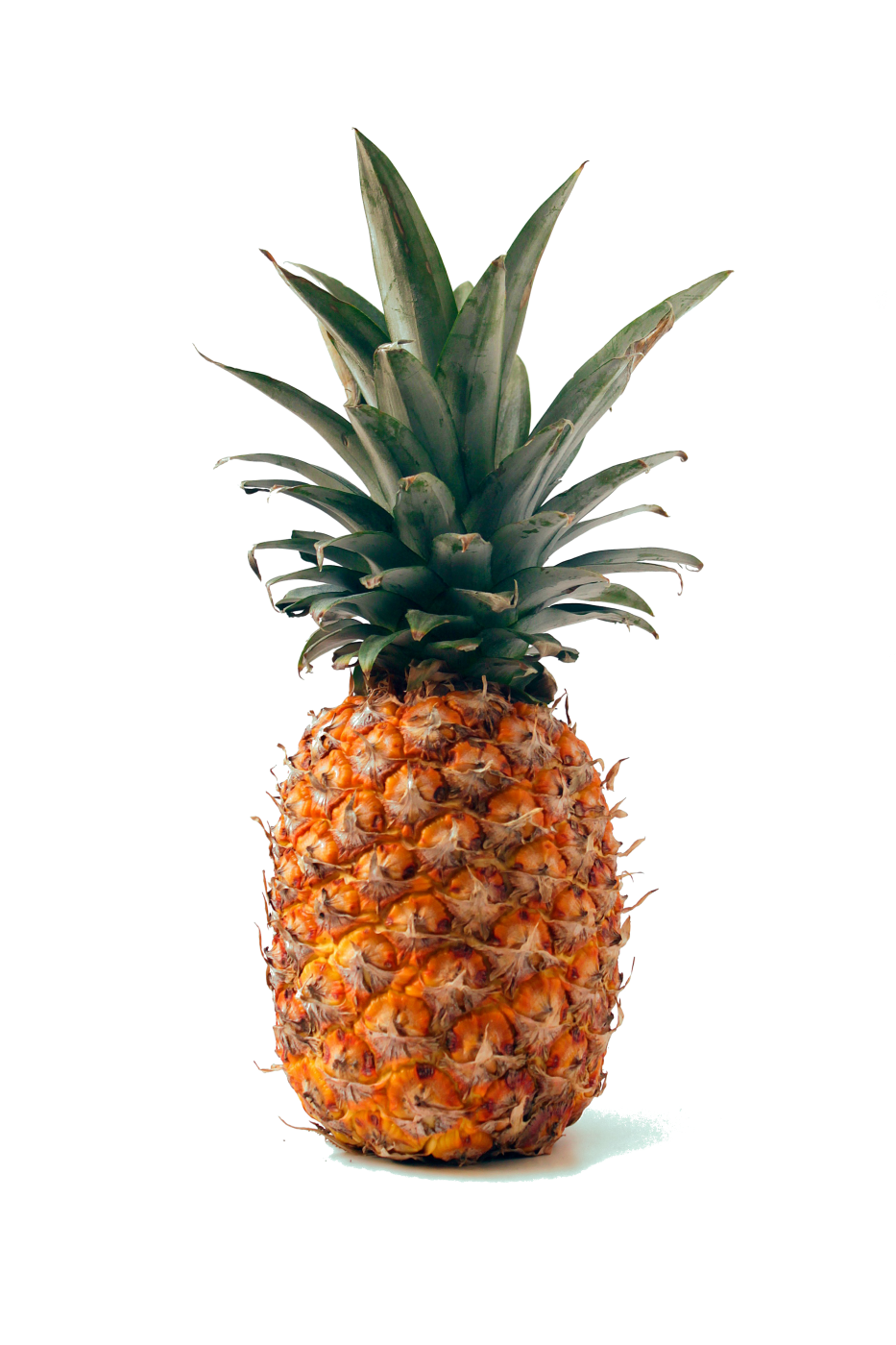 Hrat verður hátíska