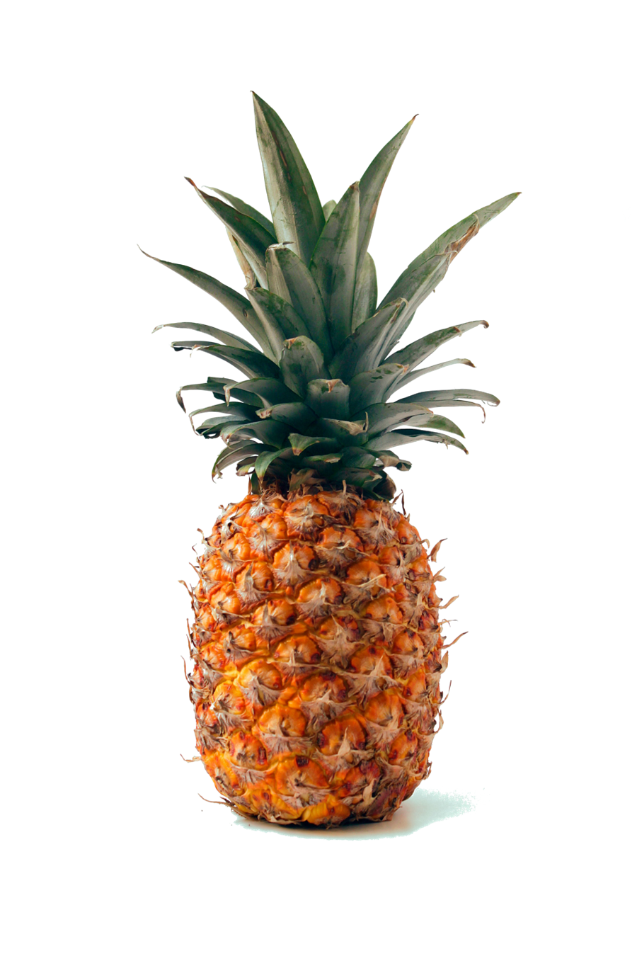 Hrat verður hátíska