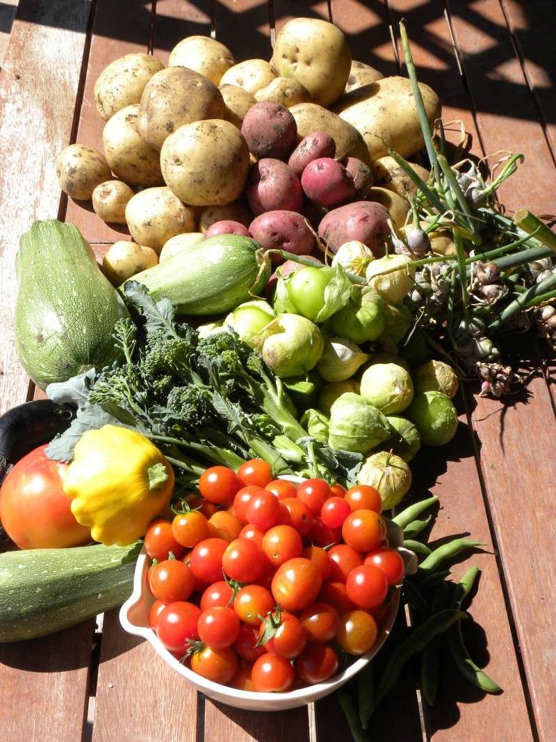 Lífrænt – ólífrænt og allt það!