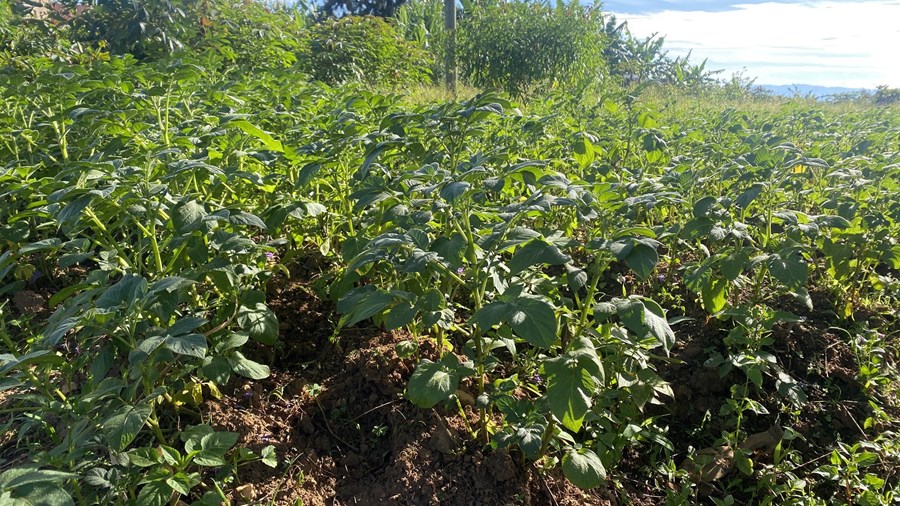 Bóndi er bústólpi, bú landstólpi