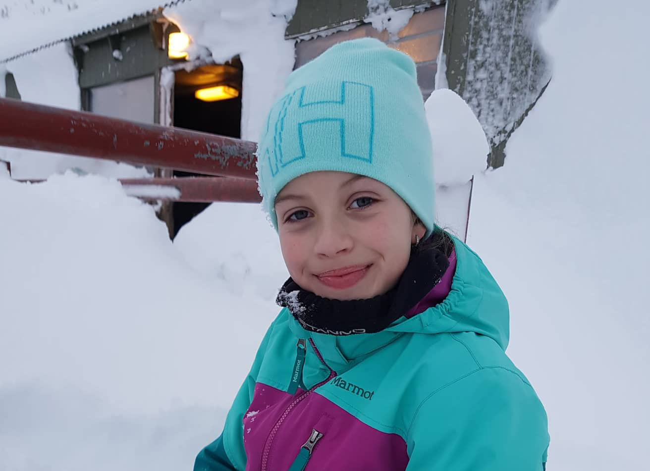 Hundar, hestar, kindur og hamstrar