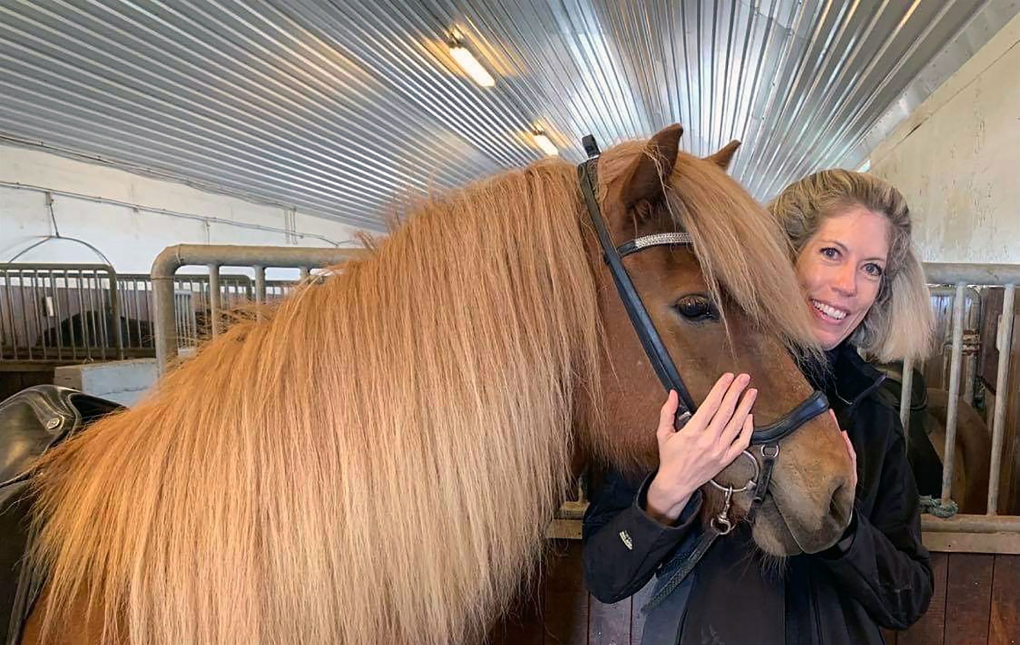 Vel hestaður fagurkeri