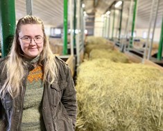 Kynbótamat byggs við íslenskar aðstæður