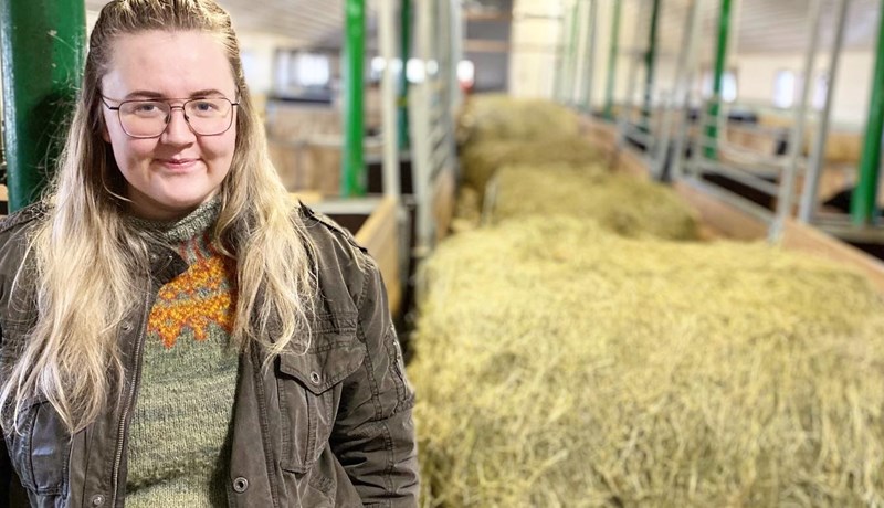 Kynbótamat byggs við íslenskar aðstæður