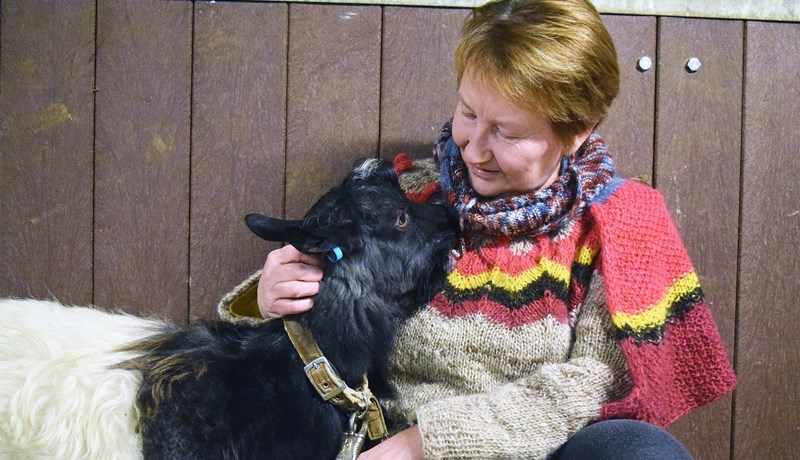 Hefur áhyggjur af hvað verður um lítið félag í nýju félagskerfi