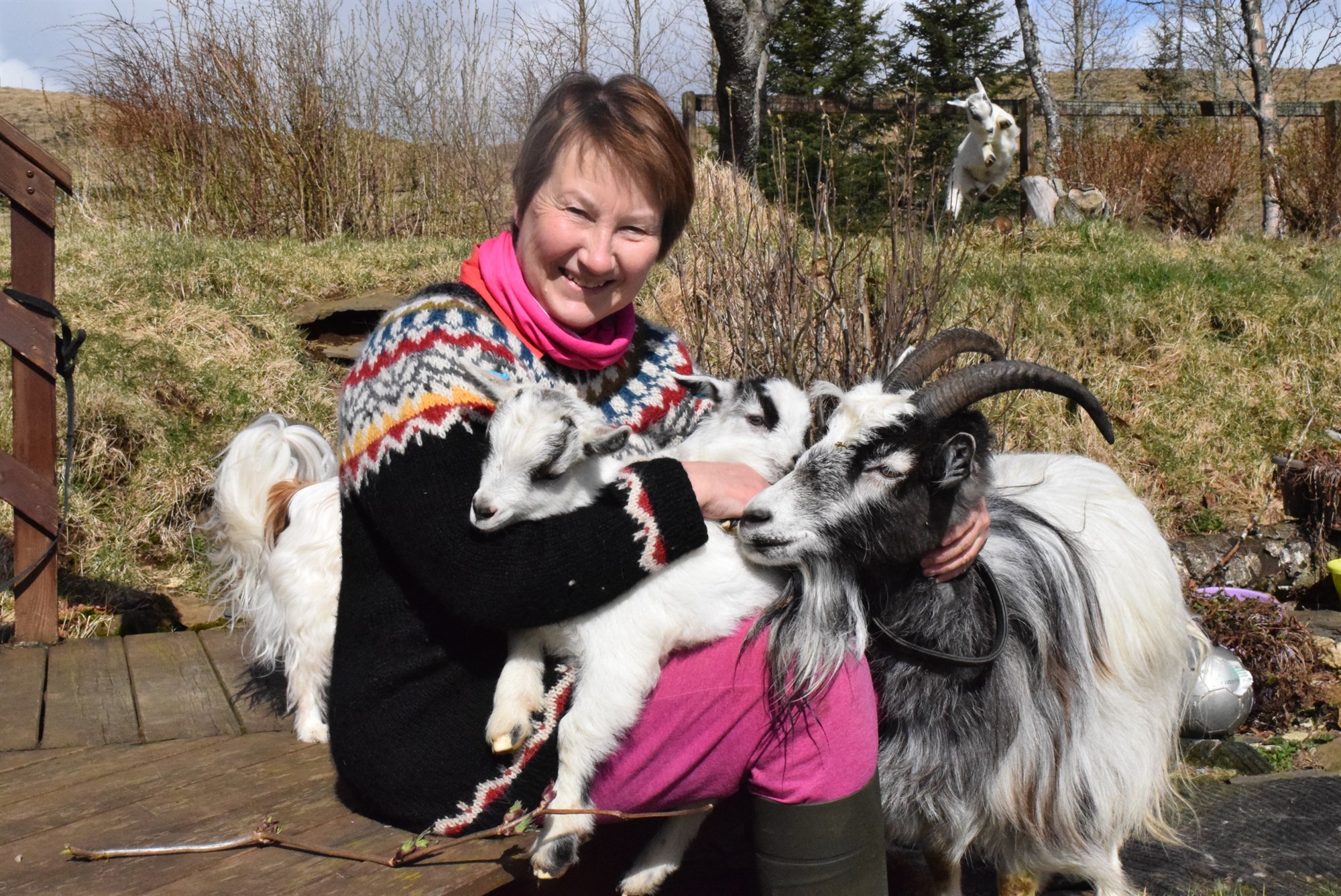 Umsögn með höfnun lýsir fádæma fordómum