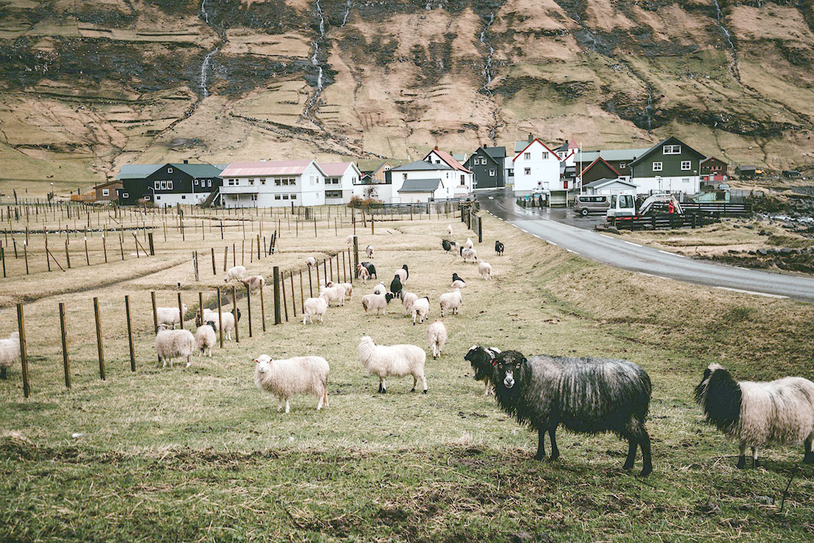 Heimaframleiðsla lögleg