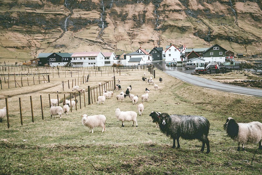 Smáframleiðendur í Færeyjum með veltu undir tuttugu milljónum mega selja afurðir sínar þrátt fyrir að hafa ekki aðgang að vottuðu eldhúsi.