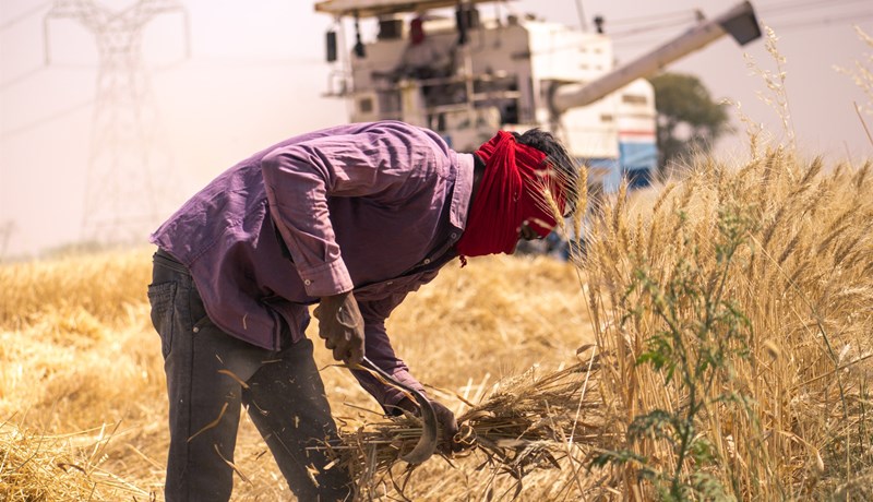 Indverjar hefta útflutning