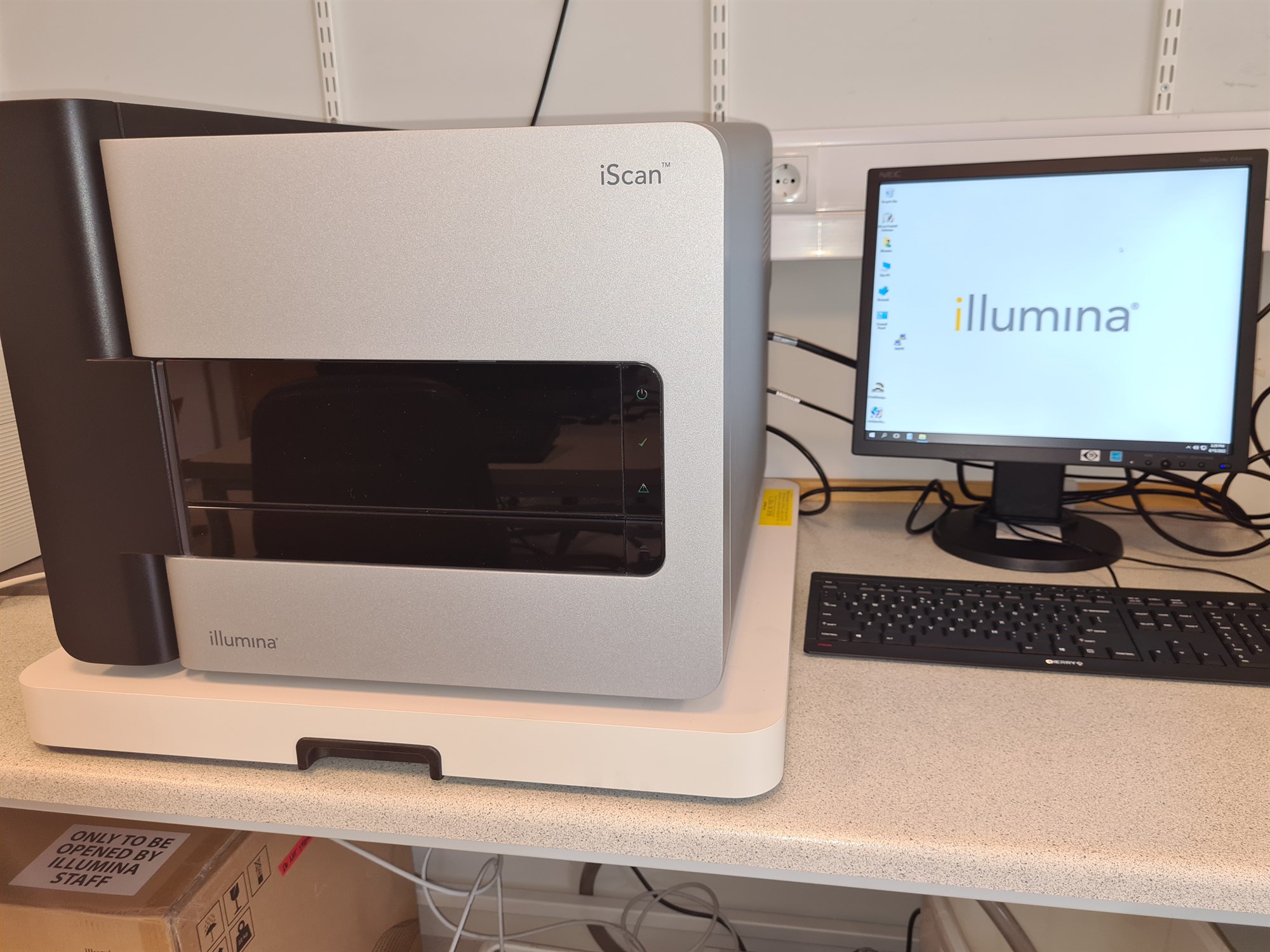 Arfgerðargreiningar íslenskra nautgripa