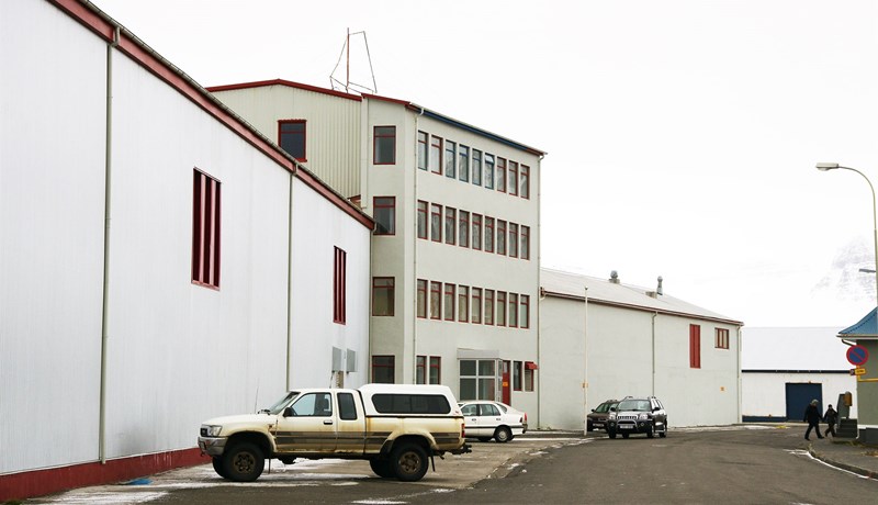 Fyrirhugað að hefja ræktun á jarðarberjum og kryddjurtum