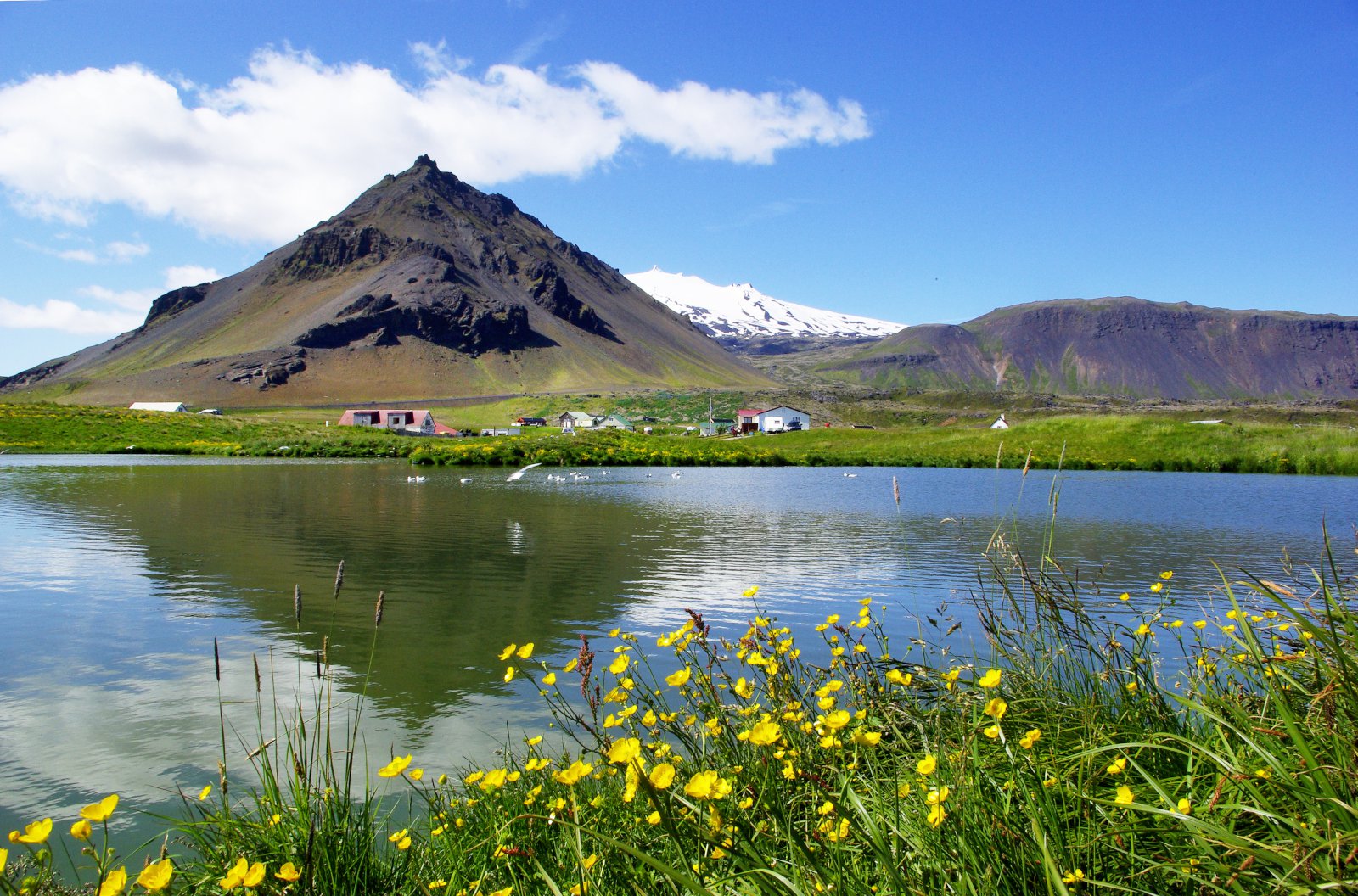 Sameiginleg ábyrgð