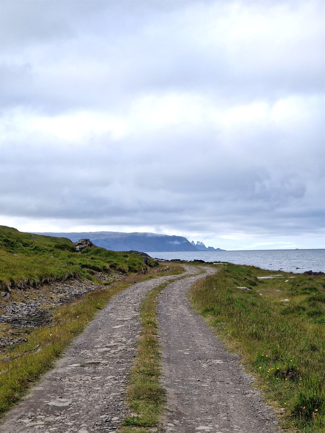 &#205; sameiningar&#173;huglei&#240;ingum