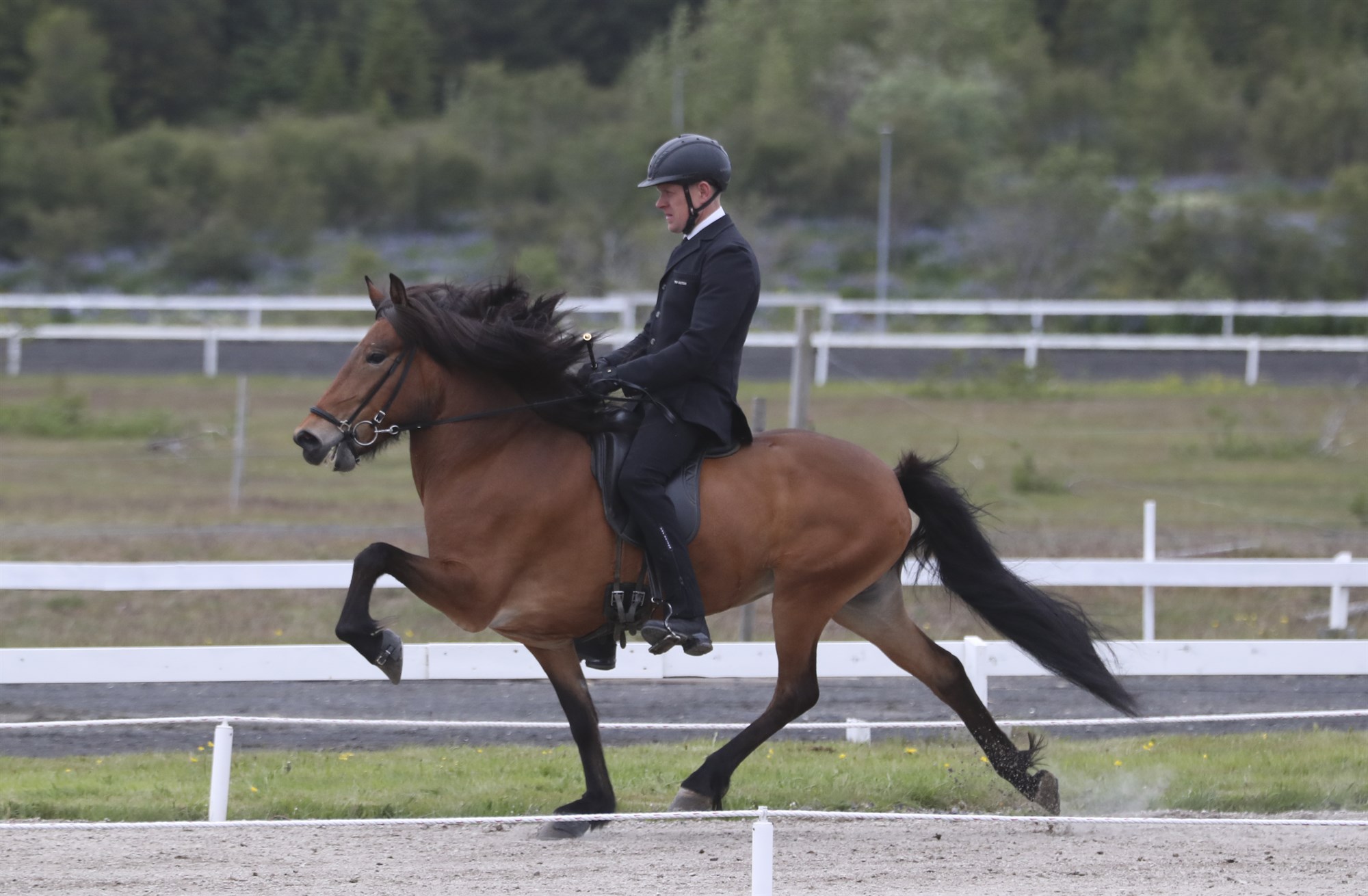 Magnað Landsmót 2024