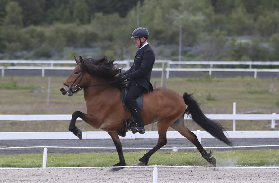 Efst í fimm vetra flokki hryssna var undrahryssan og náttúruaflið Arney frá Ytra-Álandi, undan Ský frá Skálakoti og Erlu frá Búlandi. Fimm vetra gömul er hún búin að skipa sér á bekk með mestu gæðingum sögunnar.