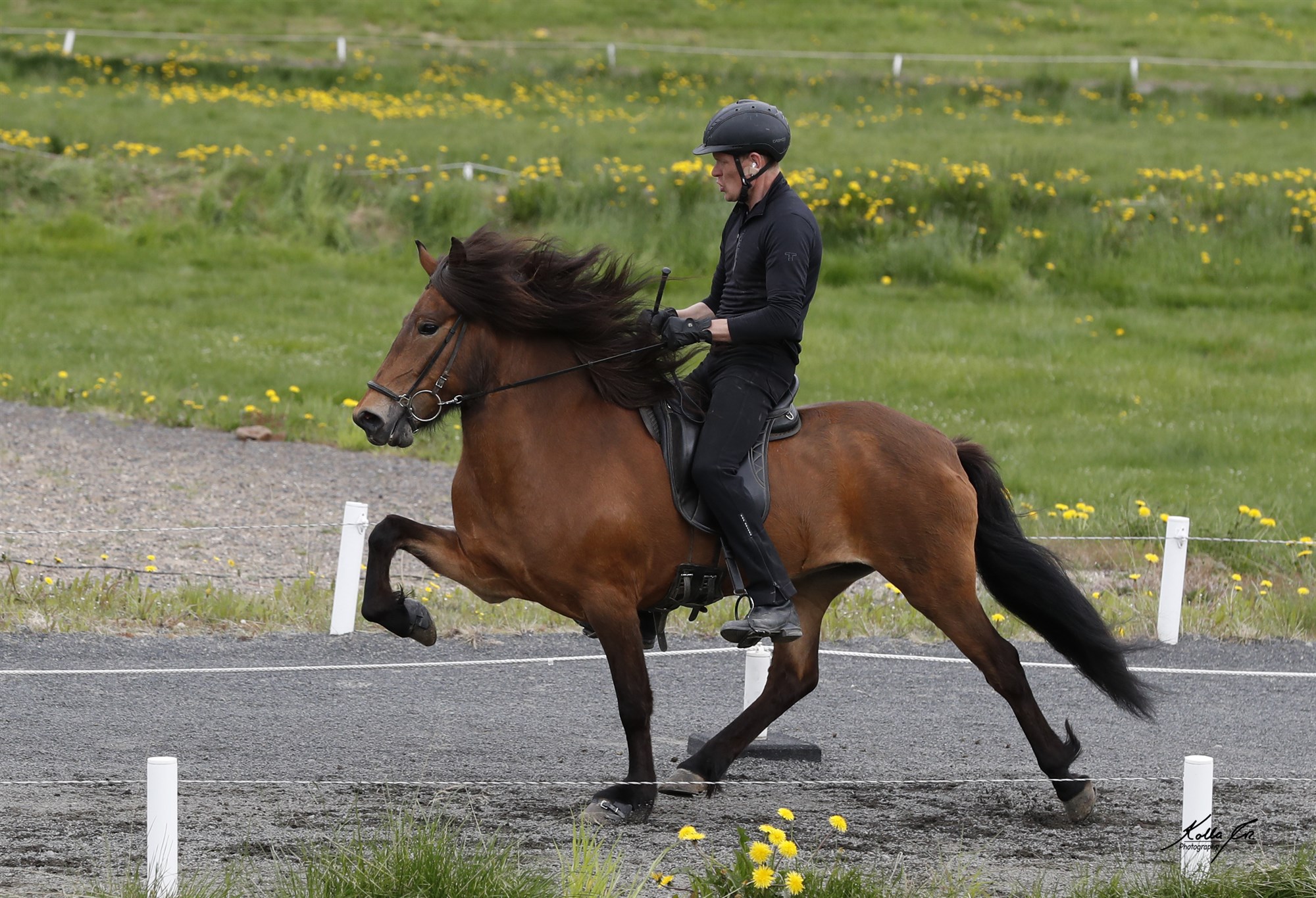 Val kynbótahrossa á Landsmót hestamanna