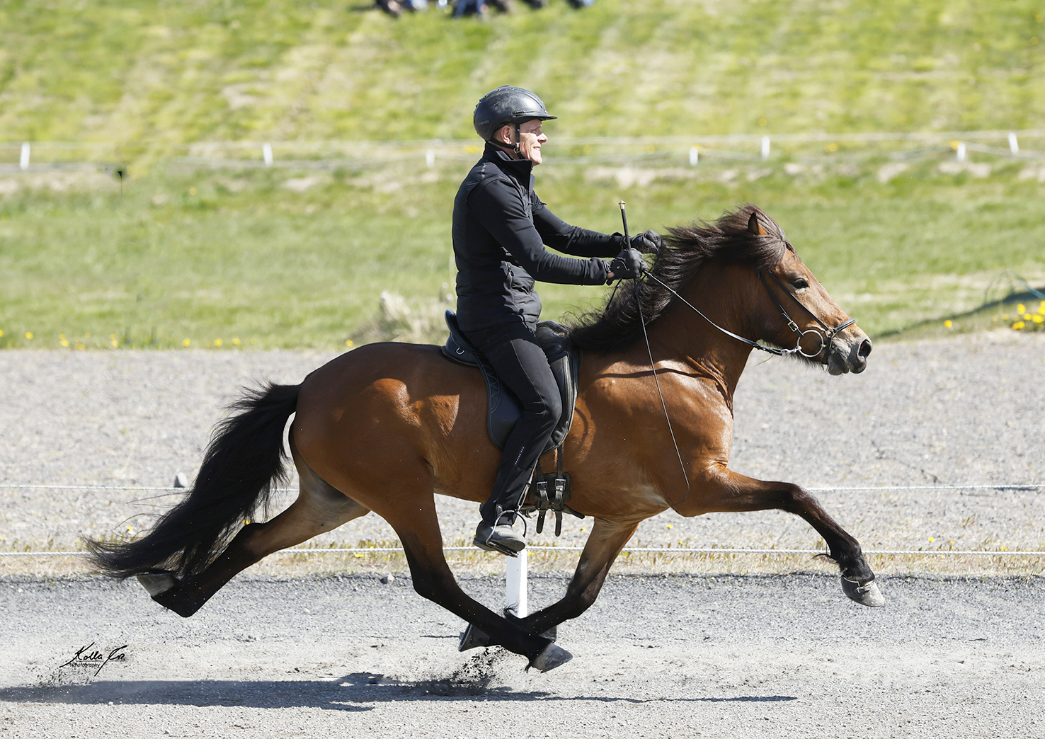 Landsmót hestamanna 2024
