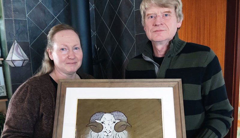 Sauðfjárræktarverðlaun BSE fóru til bænda í Villingadal