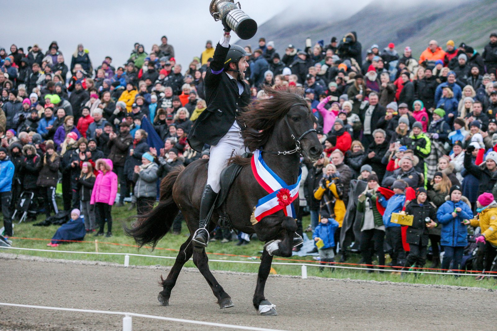 Glæsilegt Landsmót hestamanna
