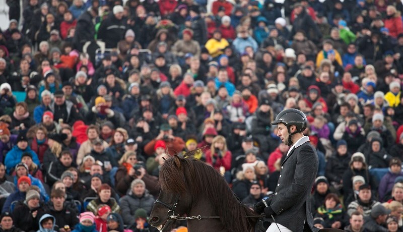 Bein útsending frá kynbótasýningu og úrtöku Spretts