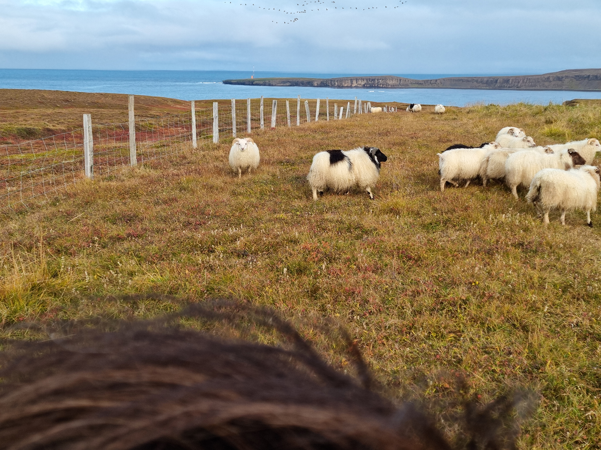 Það glampaði á gullmola og gimsteina