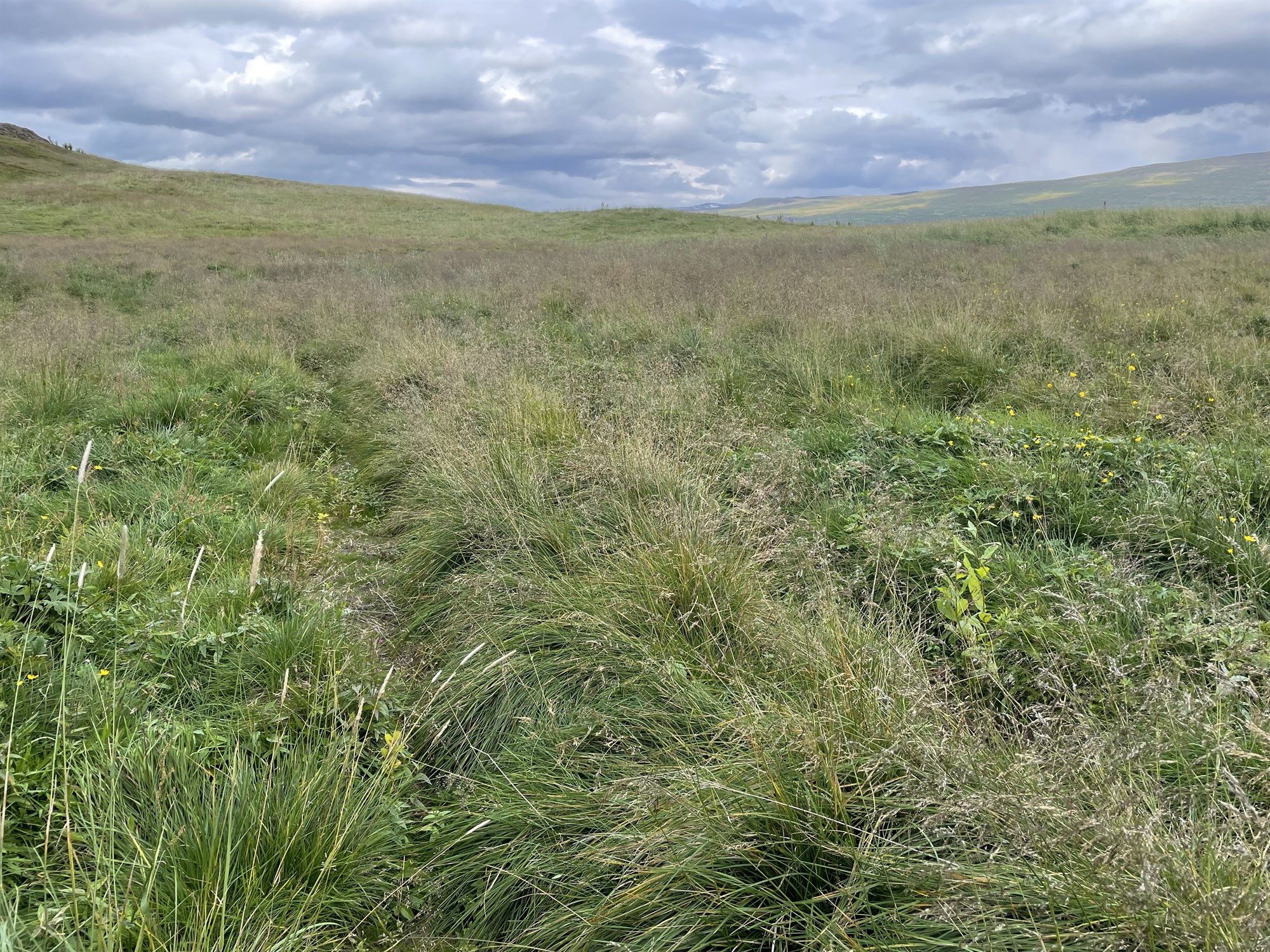 Nokkur orð um jarðvinnslu