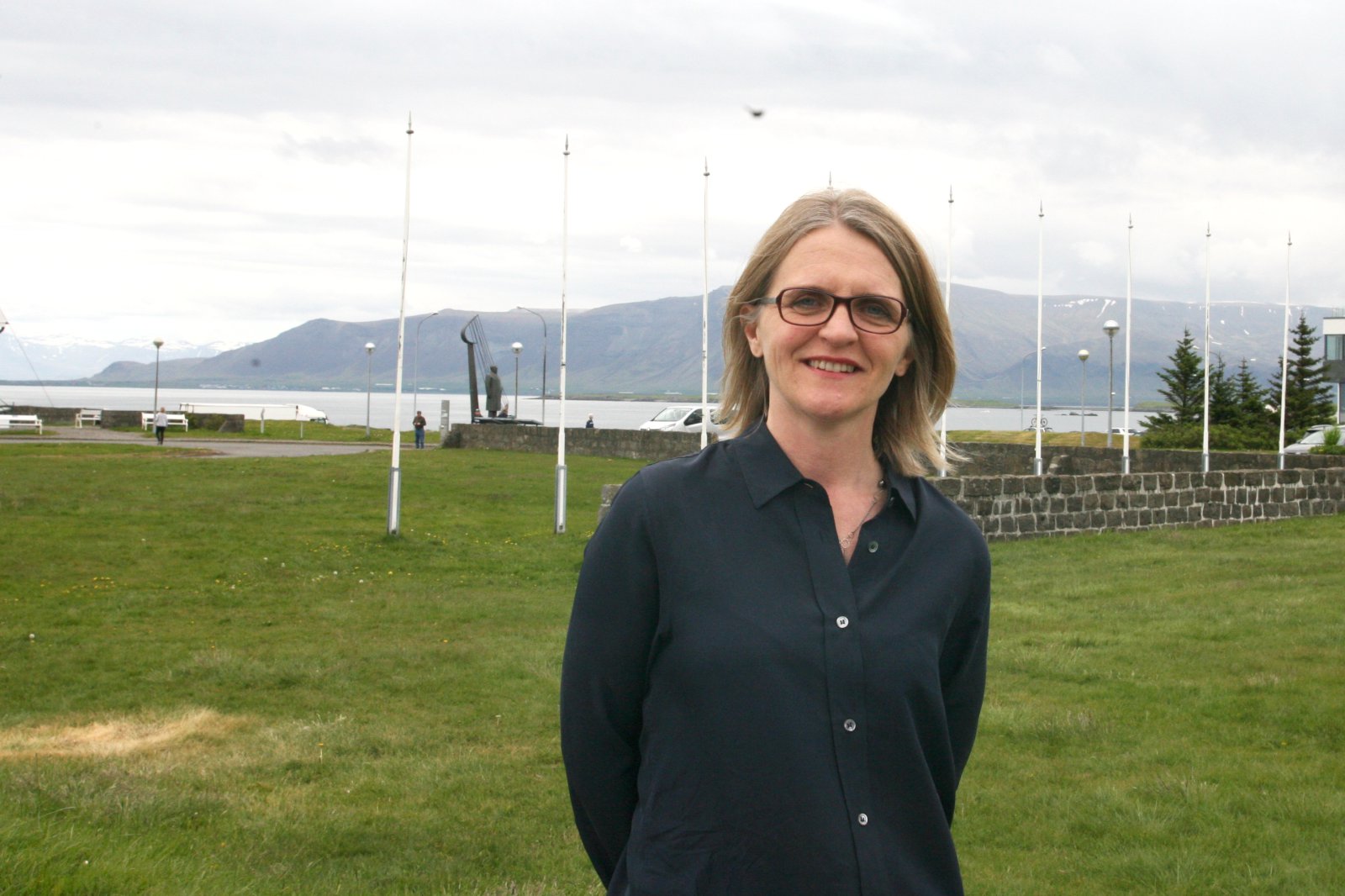 Áhrif almennings grundvallarstef