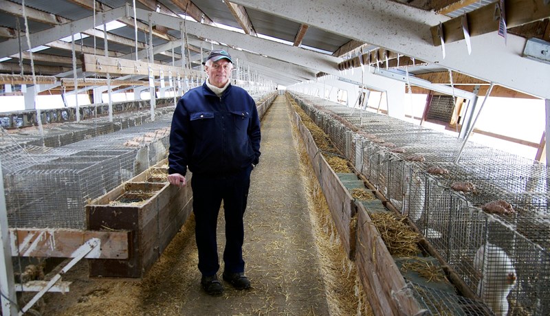 Stórundarlegt og dæmi um hræsni segja íslenskir og danskir loðdýrabændur