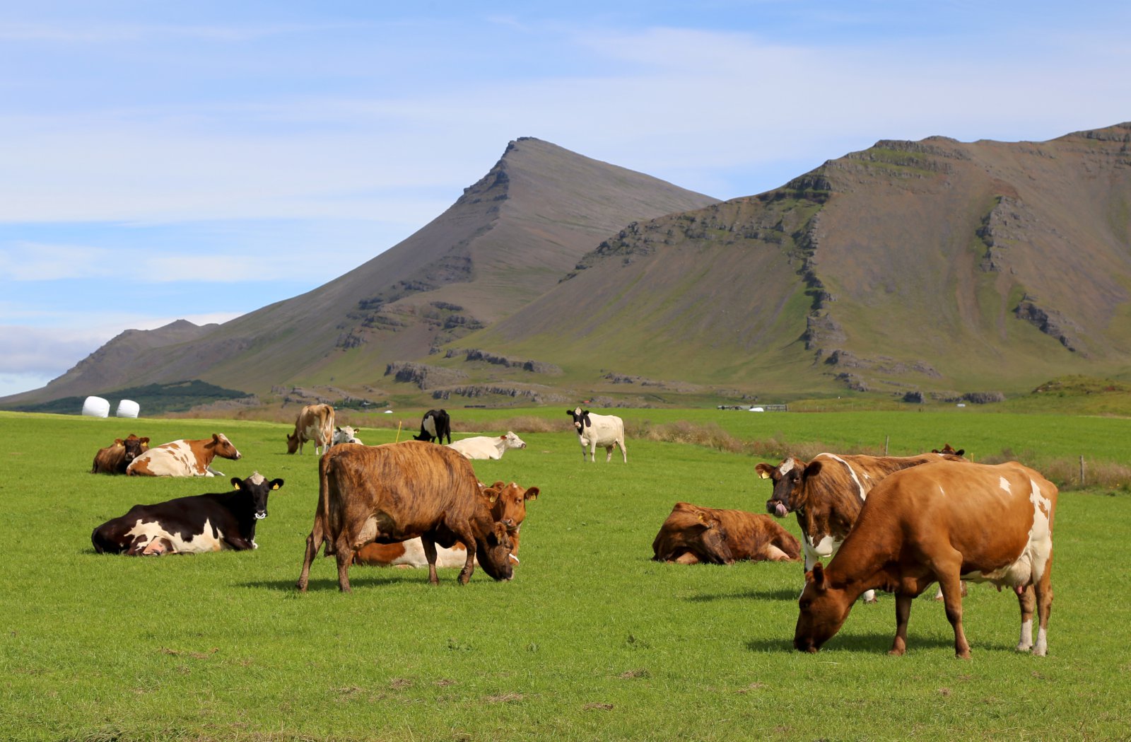 Hver er framtíðarsýn okkar sem þjóðar varðandi landbúnað og matvælaframleiðslu?