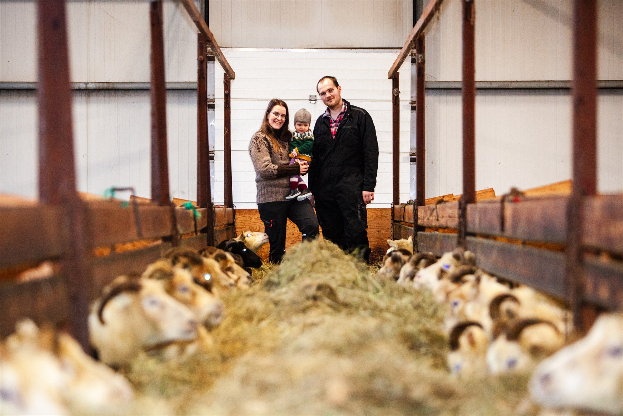 Ungt fólk tekið við Hrísum