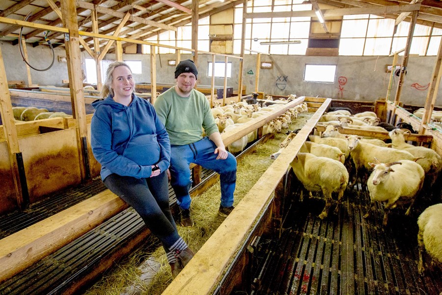 Ingibjörg Jónína Finnsdóttir og Magnús Örn Valsson fréttu af því að fyrri ábúendur á Bergsstöðum vildu hætta með sauðféð. Hann hafði því samband við bóndann að fyrra bragði og stakk upp á því að þau myndu taka við keflinu, sem gekk eftir og keyptu þau jörðina í lok árs 2019.