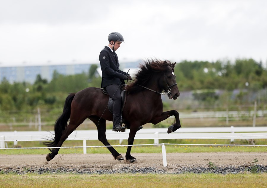 Aþena frá Þjóðólfshaga 1 er undan Skýr frá Skálakoti.