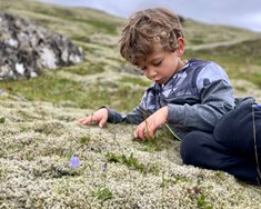 Manst þú eftir náttúrunni?