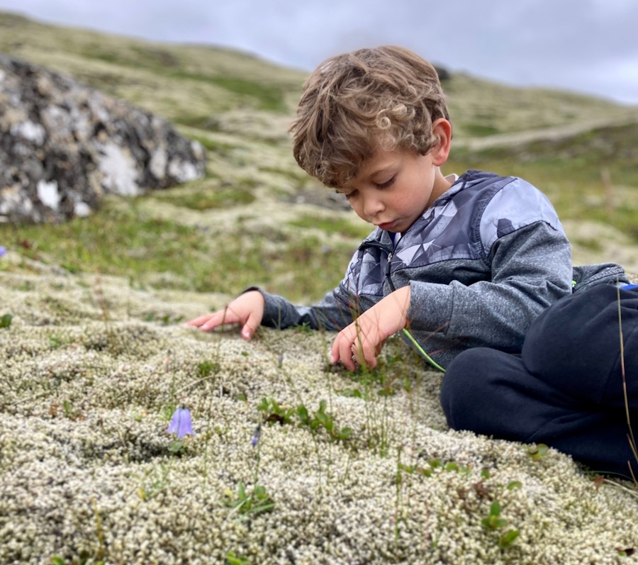 „Erlent fjármagn seilist í náttúruperlurnar okkar, hverja af annarri, með vindorkugarða, gagnaver og sjókvíaeldi í rassvasanum og engin skýr sýn tilbúin um það hvernig við ætlum að passa að ekki verði farið offari,“ skrifar Rakel Hinriksdóttir. 