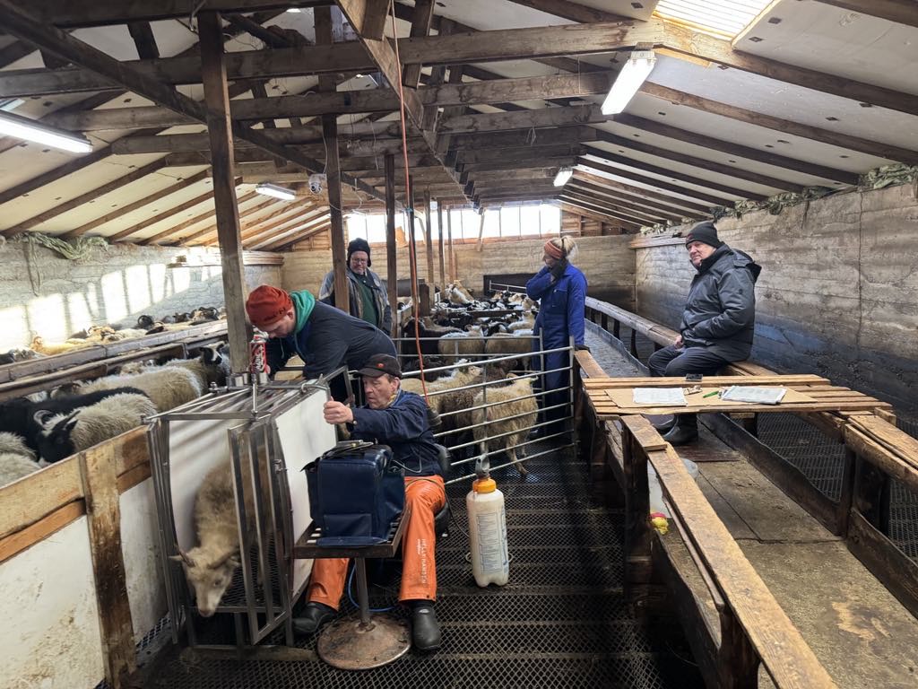 Langvarandi áhrif ótíðarinnar koma í ljós