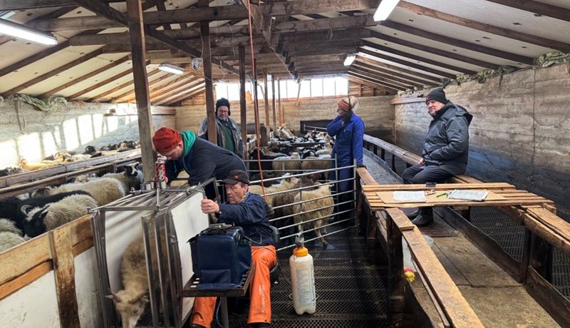 Langvarandi áhrif ótíðarinnar koma í ljós