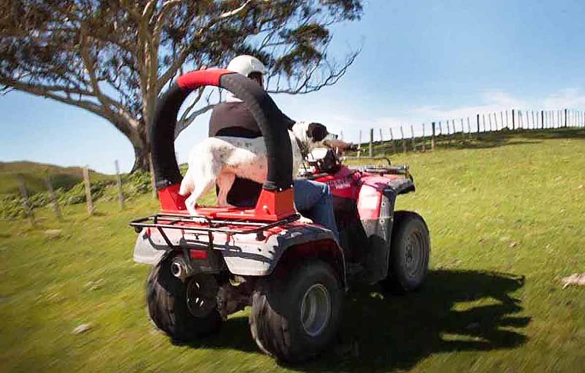 Algjört kæruleysi gagnvart sínum nánustu