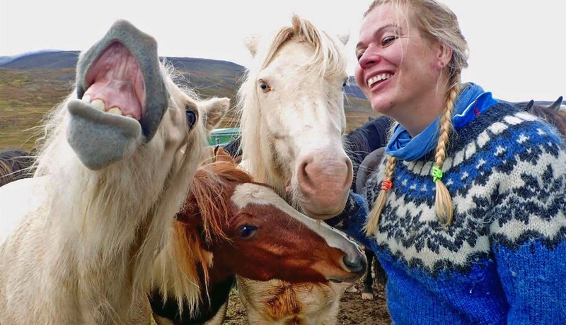 Gefur út lita- og verkefnabók um líkama hestsins